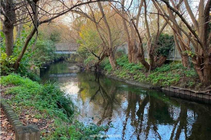 Our Beautiful Neighbourhood arrives at Southside