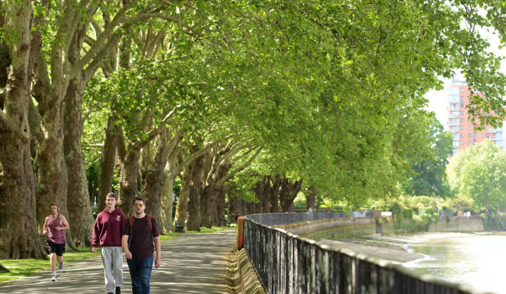 Sponsor a Tree and Make Wandsworth Greener